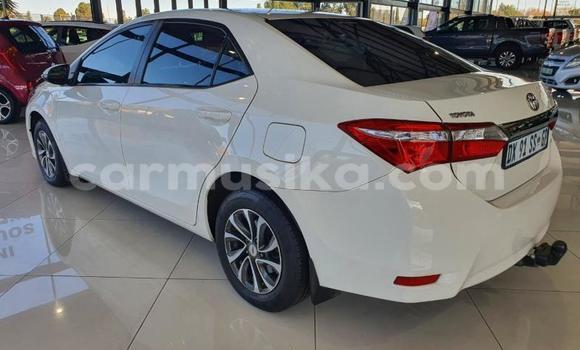 Tenga Tsaru Toyota Corolla Chena Mota in Beitbridge in Matabeleland South Tenga Tsaru Toyota Corolla Chena Mota in Beitbridge in Matabeleland South