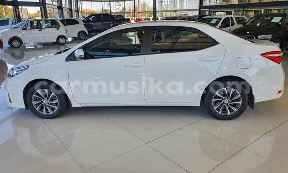 Tenga Tsaru Toyota Corolla Chena Mota in Beitbridge in Matabeleland South Tenga Tsaru Toyota Corolla Chena Mota in Beitbridge in Matabeleland South