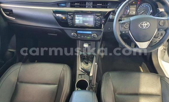 Tenga Tsaru Toyota Corolla Chena Mota in Beitbridge in Matabeleland South Tenga Tsaru Toyota Corolla Chena Mota in Beitbridge in Matabeleland South