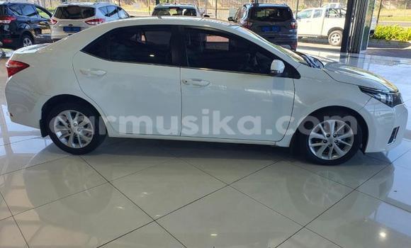 Tenga Tsaru Toyota Corolla Chena Mota in Beitbridge in Matabeleland South Tenga Tsaru Toyota Corolla Chena Mota in Beitbridge in Matabeleland South