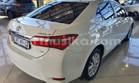 Tenga Tsaru Toyota Corolla Chena Mota in Beitbridge in Matabeleland South Tenga Tsaru Toyota Corolla Chena Mota in Beitbridge in Matabeleland South