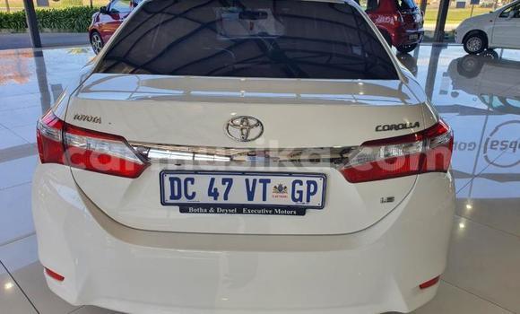 Tenga Tsaru Toyota Corolla Chena Mota in Beitbridge in Matabeleland South Tenga Tsaru Toyota Corolla Chena Mota in Beitbridge in Matabeleland South