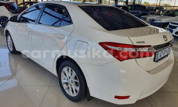 Tenga Tsaru Toyota Corolla Chena Mota in Beitbridge in Matabeleland South Tenga Tsaru Toyota Corolla Chena Mota in Beitbridge in Matabeleland South