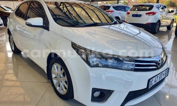 Tenga Tsaru Toyota Corolla Chena Mota in Beitbridge in Matabeleland South Tenga Tsaru Toyota Corolla Chena Mota in Beitbridge in Matabeleland South