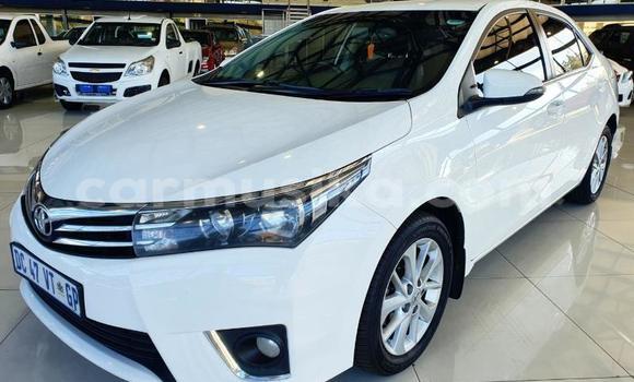 Tenga Tsaru Toyota Corolla Chena Mota in Beitbridge in Matabeleland South Tenga Tsaru Toyota Corolla Chena Mota in Beitbridge in Matabeleland South