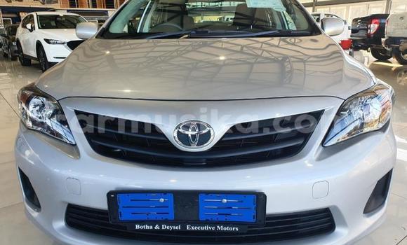 Tenga Tsaru Toyota Corolla Zvimwe Mota in Beitbridge in Matabeleland South Tenga Tsaru Toyota Corolla Zvimwe Mota in Beitbridge in Matabeleland South