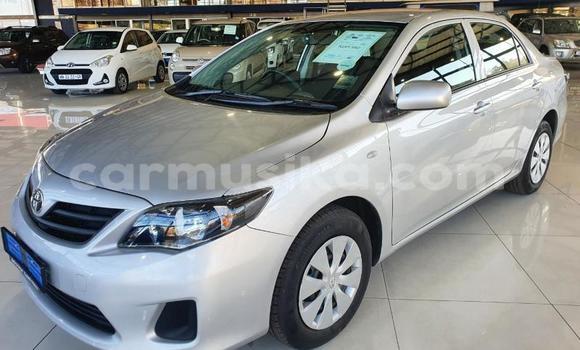 Tenga Tsaru Toyota Corolla Zvimwe Mota in Beitbridge in Matabeleland South Tenga Tsaru Toyota Corolla Zvimwe Mota in Beitbridge in Matabeleland South