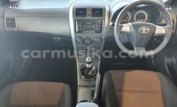 Tenga Tsaru Toyota Corolla Zvimwe Mota in Beitbridge in Matabeleland South Tenga Tsaru Toyota Corolla Zvimwe Mota in Beitbridge in Matabeleland South