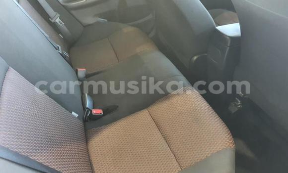 Tenga Tsaru Toyota Corolla Zvimwe Mota in Beitbridge in Matabeleland South Tenga Tsaru Toyota Corolla Zvimwe Mota in Beitbridge in Matabeleland South