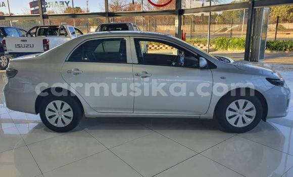 Tenga Tsaru Toyota Corolla Zvimwe Mota in Beitbridge in Matabeleland South Tenga Tsaru Toyota Corolla Zvimwe Mota in Beitbridge in Matabeleland South