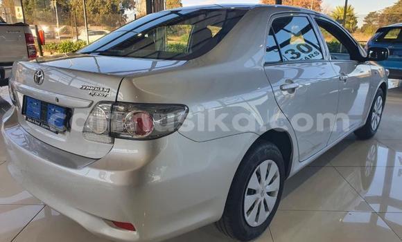 Tenga Tsaru Toyota Corolla Zvimwe Mota in Beitbridge in Matabeleland South Tenga Tsaru Toyota Corolla Zvimwe Mota in Beitbridge in Matabeleland South