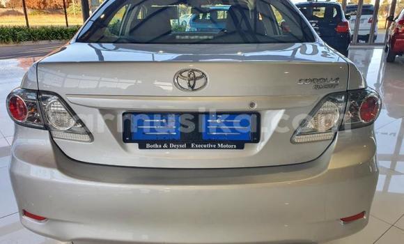 Tenga Tsaru Toyota Corolla Zvimwe Mota in Beitbridge in Matabeleland South Tenga Tsaru Toyota Corolla Zvimwe Mota in Beitbridge in Matabeleland South