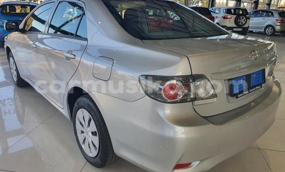 Tenga Tsaru Toyota Corolla Zvimwe Mota in Beitbridge in Matabeleland South Tenga Tsaru Toyota Corolla Zvimwe Mota in Beitbridge in Matabeleland South