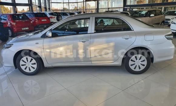 Tenga Tsaru Toyota Corolla Zvimwe Mota in Beitbridge in Matabeleland South Tenga Tsaru Toyota Corolla Zvimwe Mota in Beitbridge in Matabeleland South