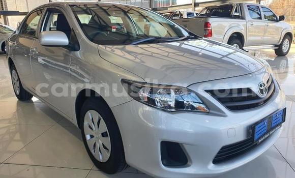 Tenga Tsaru Toyota Corolla Zvimwe Mota in Beitbridge in Matabeleland South Tenga Tsaru Toyota Corolla Zvimwe Mota in Beitbridge in Matabeleland South