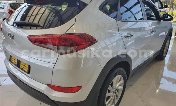 Tenga Tsaru Hyundai Tucson Zvimwe Mota in Beitbridge in Matabeleland South Tenga Tsaru Hyundai Tucson Zvimwe Mota in Beitbridge in Matabeleland South
