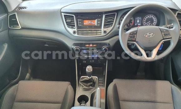 Tenga Tsaru Hyundai Tucson Zvimwe Mota in Beitbridge in Matabeleland South Tenga Tsaru Hyundai Tucson Zvimwe Mota in Beitbridge in Matabeleland South