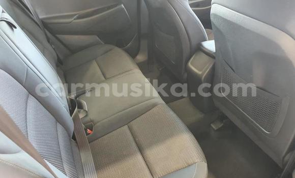 Tenga Tsaru Hyundai Tucson Zvimwe Mota in Beitbridge in Matabeleland South Tenga Tsaru Hyundai Tucson Zvimwe Mota in Beitbridge in Matabeleland South