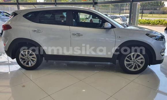 Tenga Tsaru Hyundai Tucson Zvimwe Mota in Beitbridge in Matabeleland South Tenga Tsaru Hyundai Tucson Zvimwe Mota in Beitbridge in Matabeleland South