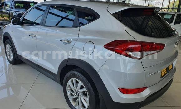 Tenga Tsaru Hyundai Tucson Zvimwe Mota in Beitbridge in Matabeleland South Tenga Tsaru Hyundai Tucson Zvimwe Mota in Beitbridge in Matabeleland South