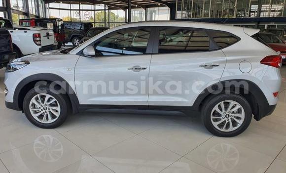 Tenga Tsaru Hyundai Tucson Zvimwe Mota in Beitbridge in Matabeleland South Tenga Tsaru Hyundai Tucson Zvimwe Mota in Beitbridge in Matabeleland South