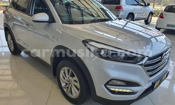 Tenga Tsaru Hyundai Tucson Zvimwe Mota in Beitbridge in Matabeleland South Tenga Tsaru Hyundai Tucson Zvimwe Mota in Beitbridge in Matabeleland South