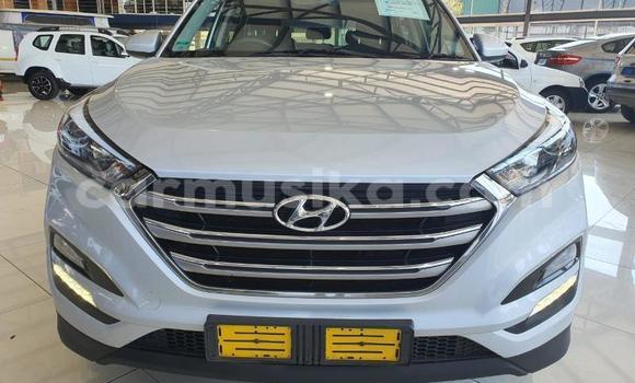 Tenga Tsaru Hyundai Tucson Zvimwe Mota in Beitbridge in Matabeleland South Tenga Tsaru Hyundai Tucson Zvimwe Mota in Beitbridge in Matabeleland South