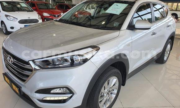 Tenga Tsaru Hyundai Tucson Zvimwe Mota in Beitbridge in Matabeleland South Tenga Tsaru Hyundai Tucson Zvimwe Mota in Beitbridge in Matabeleland South