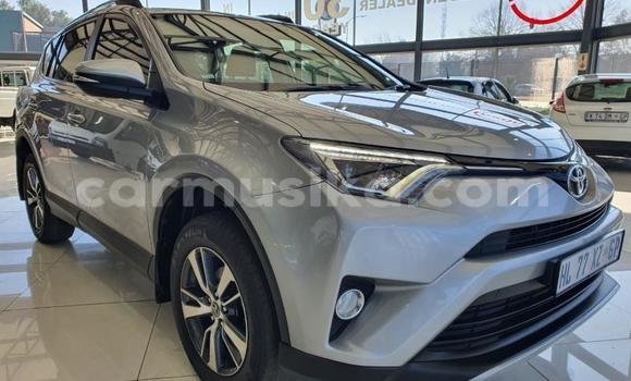 Buy Used Toyota RAV4 Other Car in Beitbridge in Matabeleland South Buy Used Toyota RAV4 Other Car in Beitbridge in Matabeleland South