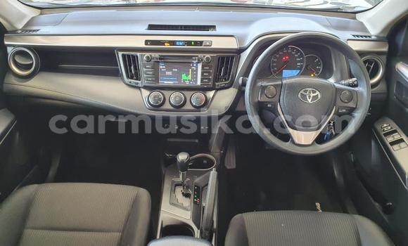 Tenga Tsaru Toyota RAV4 Zvimwe Mota in Beitbridge in Matabeleland South Tenga Tsaru Toyota RAV4 Zvimwe Mota in Beitbridge in Matabeleland South