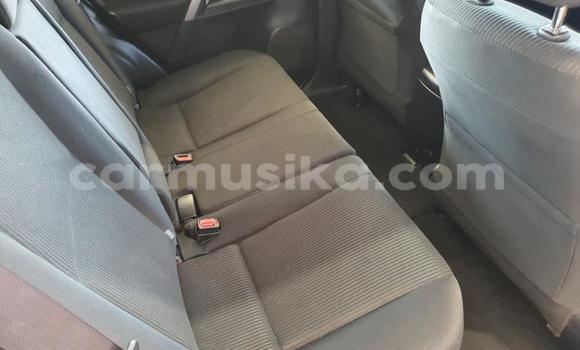 Tenga Tsaru Toyota RAV4 Zvimwe Mota in Beitbridge in Matabeleland South Tenga Tsaru Toyota RAV4 Zvimwe Mota in Beitbridge in Matabeleland South