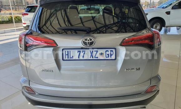 Tenga Tsaru Toyota RAV4 Zvimwe Mota in Beitbridge in Matabeleland South Tenga Tsaru Toyota RAV4 Zvimwe Mota in Beitbridge in Matabeleland South