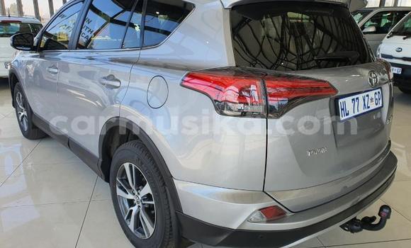 Tenga Tsaru Toyota RAV4 Zvimwe Mota in Beitbridge in Matabeleland South Tenga Tsaru Toyota RAV4 Zvimwe Mota in Beitbridge in Matabeleland South