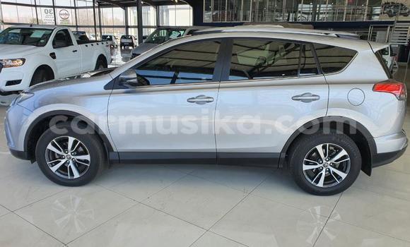 Tenga Tsaru Toyota RAV4 Zvimwe Mota in Beitbridge in Matabeleland South Tenga Tsaru Toyota RAV4 Zvimwe Mota in Beitbridge in Matabeleland South