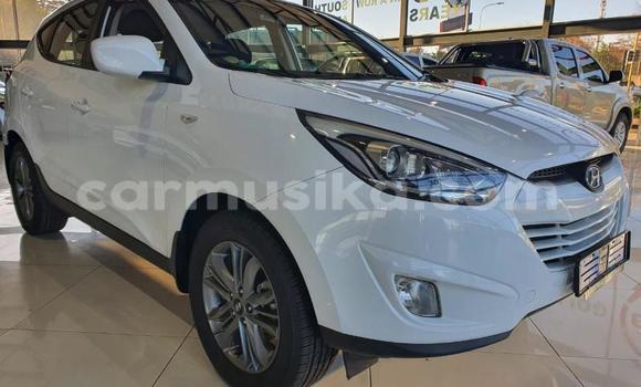 Tenga Tsaru Hyundai ix35 Chena Mota in Beitbridge in Matabeleland South
