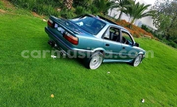 Buy Used Toyota Corolla Green Car in Beitbridge in Matabeleland South Buy Used Toyota Corolla Green Car in Beitbridge in Matabeleland South