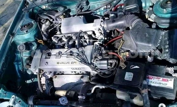 Buy Used Toyota Corolla Green Car in Beitbridge in Matabeleland South Buy Used Toyota Corolla Green Car in Beitbridge in Matabeleland South