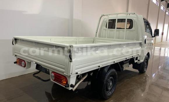 Tenga Tsaru Hyundai H200 Chena Mota in Beitbridge in Matabeleland South Tenga Tsaru Hyundai H200 Chena Mota in Beitbridge in Matabeleland South