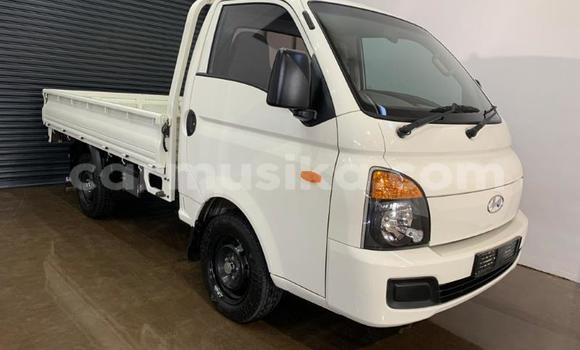 Tenga Tsaru Hyundai H200 Chena Mota in Beitbridge in Matabeleland South Tenga Tsaru Hyundai H200 Chena Mota in Beitbridge in Matabeleland South