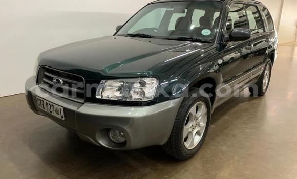 Nunua Ilio tumika Subaru Forester Nyingine Gari ndani ya Beitbridge nchini Matabeleland Kusini