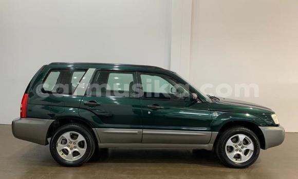 Tenga Tsaru Subaru Forester Zvimwe Mota in Beitbridge in Matabeleland South Tenga Tsaru Subaru Forester Zvimwe Mota in Beitbridge in Matabeleland South