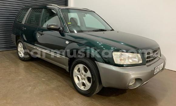 Tenga Tsaru Subaru Forester Zvimwe Mota in Beitbridge in Matabeleland South Tenga Tsaru Subaru Forester Zvimwe Mota in Beitbridge in Matabeleland South