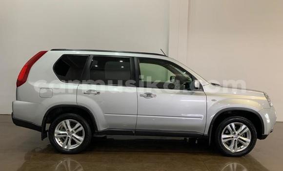 Tenga Tsaru Nissan X–Trail Sirivha Mota in Beitbridge in Matabeleland South Tenga Tsaru Nissan X–Trail Sirivha Mota in Beitbridge in Matabeleland South