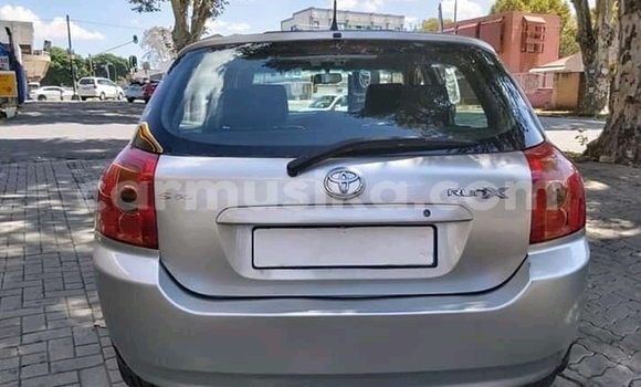 Acheter Occasion Voiture Toyota Runx Gris à Bulawayo, Bulawayo Acheter Occasion Voiture Toyota Runx Gris à Bulawayo, Bulawayo