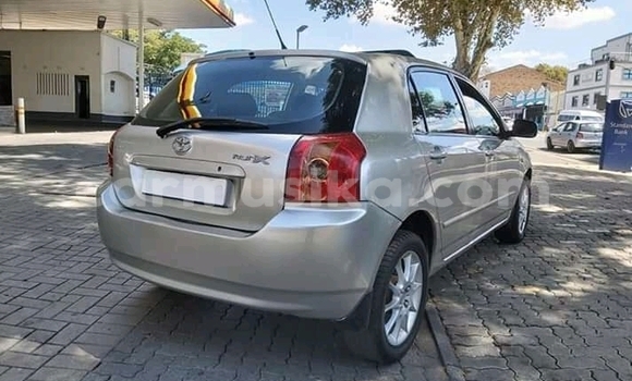 Acheter Occasion Voiture Toyota Runx Gris à Bulawayo, Bulawayo Acheter Occasion Voiture Toyota Runx Gris à Bulawayo, Bulawayo