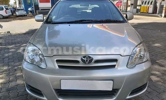 Acheter Occasion Voiture Toyota Runx Gris à Bulawayo, Bulawayo Acheter Occasion Voiture Toyota Runx Gris à Bulawayo, Bulawayo