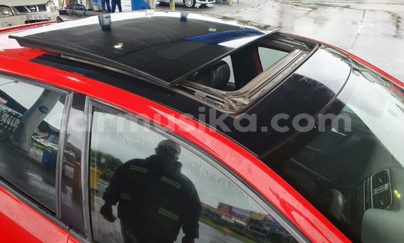 Acheter Occasion Voiture Volkswagen Polo Rouge à Bulawayo, Bulawayo Acheter Occasion Voiture Volkswagen Polo Rouge à Bulawayo, Bulawayo