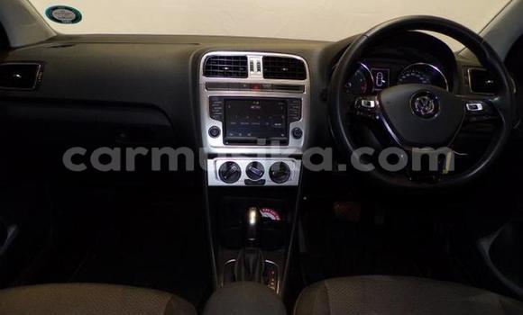 Buy Used Volkswagen Polo Blue Car in Harare in Harare Buy Used Volkswagen Polo Blue Car in Harare in Harare