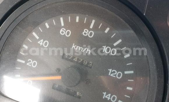 Tenga Tsaru Nissan UD Chena Rori in Beitbridge in Matabeleland South Tenga Tsaru Nissan UD Chena Rori in Beitbridge in Matabeleland South