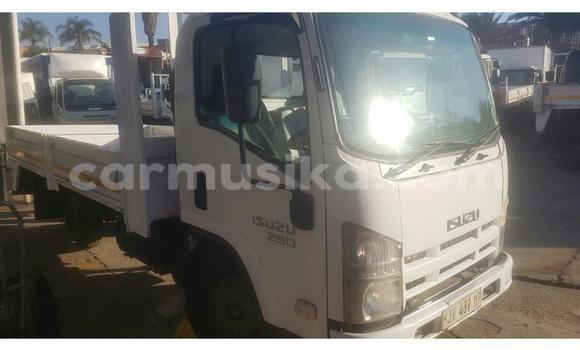 Tenga Tsaru Isuzu Elf Chena Rori in Beitbridge in Matabeleland South Tenga Tsaru Isuzu Elf Chena Rori in Beitbridge in Matabeleland South